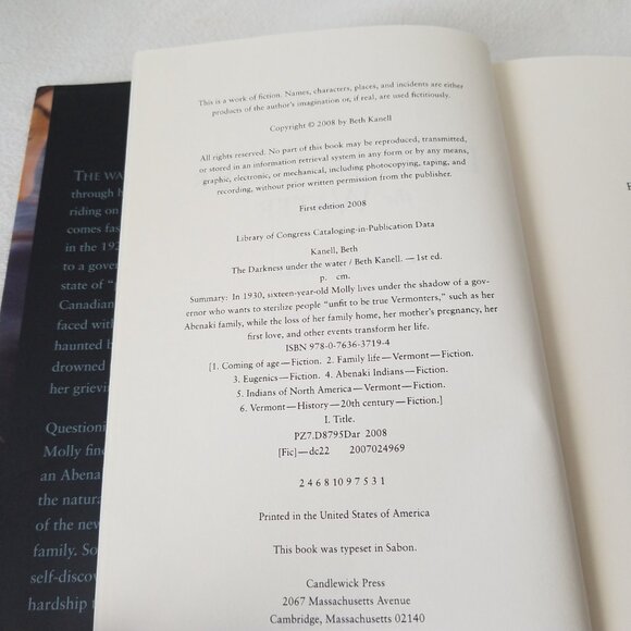 The Darkness Under the Water Au: Beth Kanell SGD Pub: 2008  ISBN: 9780763637194 - Picture 10 of 11